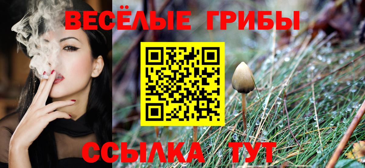 Псилоцибиновые грибы мицелий  Вход с VPN  Коломна 